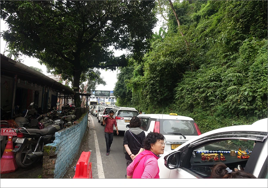 DSC01446.jpg?type=w966