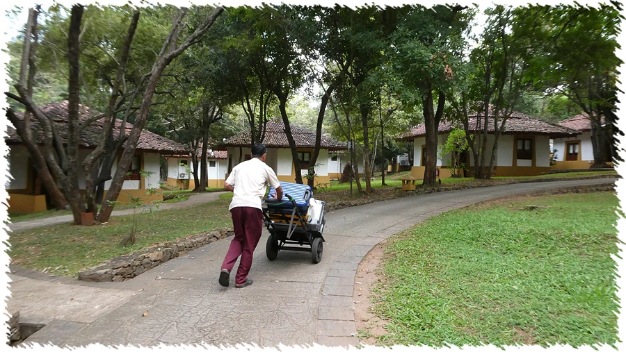 P1010949.jpg?type=w966