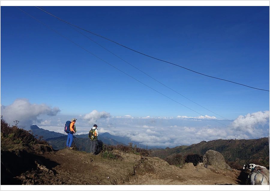 DSC01148.jpg?type=w966