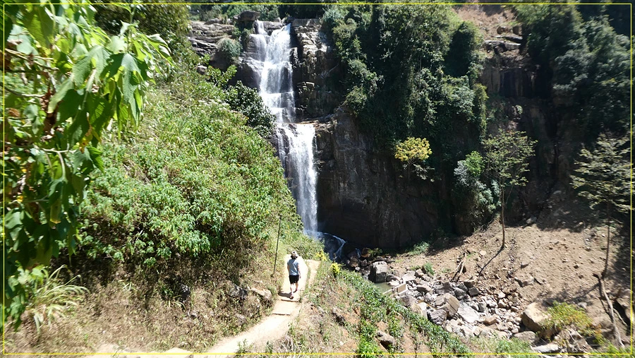 P1011347.jpg?type=w966