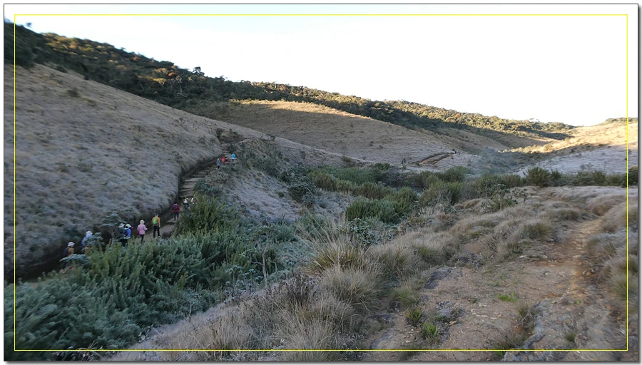 P1011469.jpg?type=w966