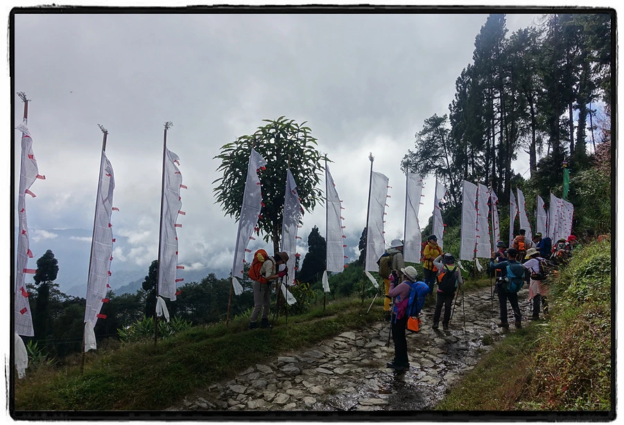 DSC00549.jpg?type=w966