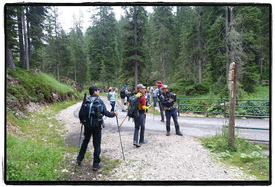 DSC00197.jpg?type=w966&jopt=2