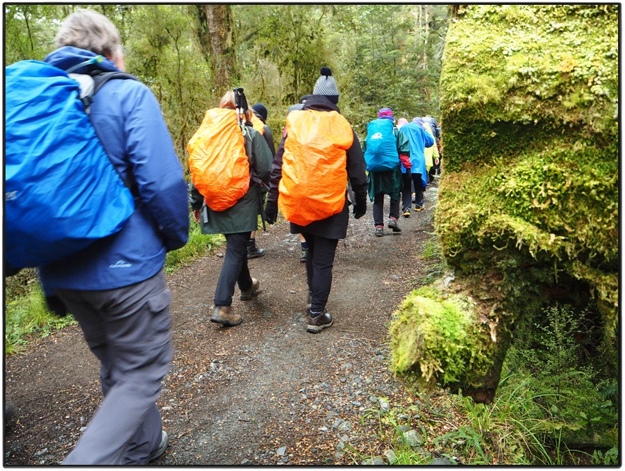 28.jpg?type=w966&jopt=2