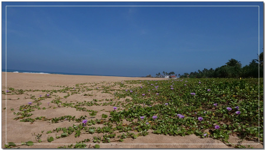 P1022141.jpg?type=w966