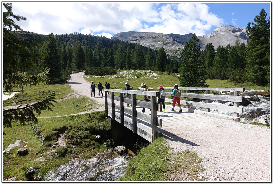 DSC00170.jpg?type=w966&jopt=2