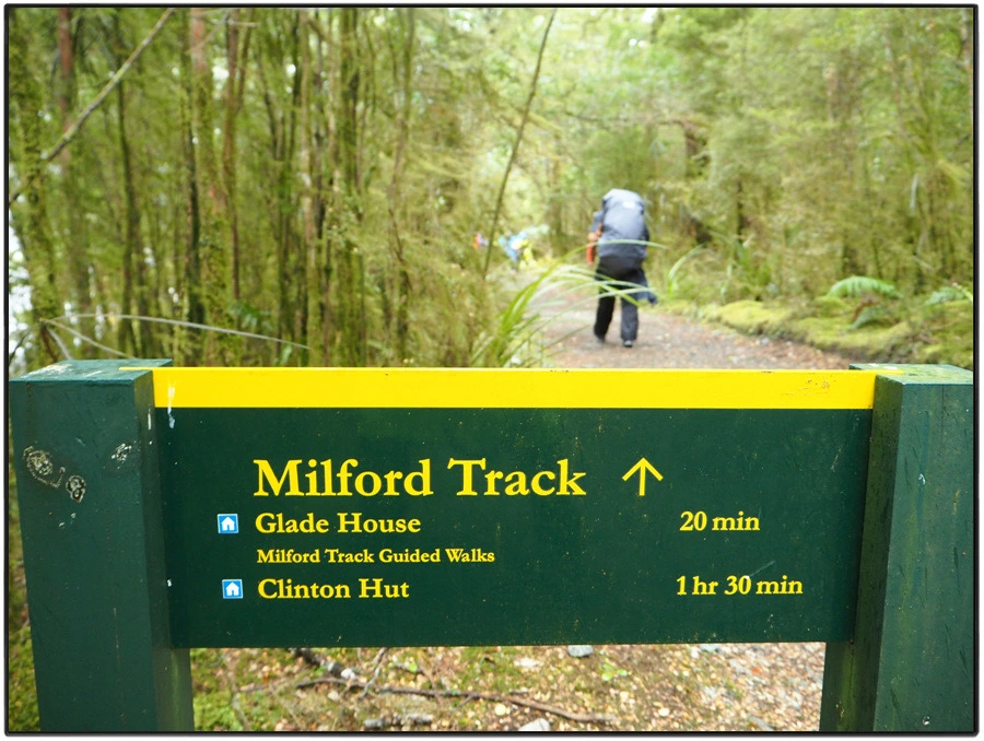 25.jpg?type=w966&jopt=2