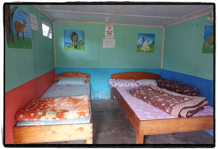 DSC00647.jpg?type=w966