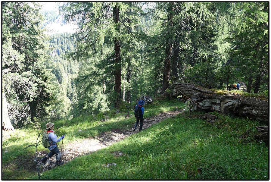 DSC00144.jpg?type=w966&jopt=2