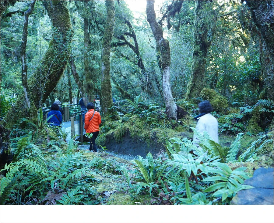 14.jpg?type=w966&jopt=2