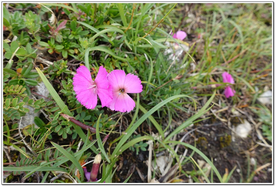 DSC00234.jpg?type=w966&jopt=2