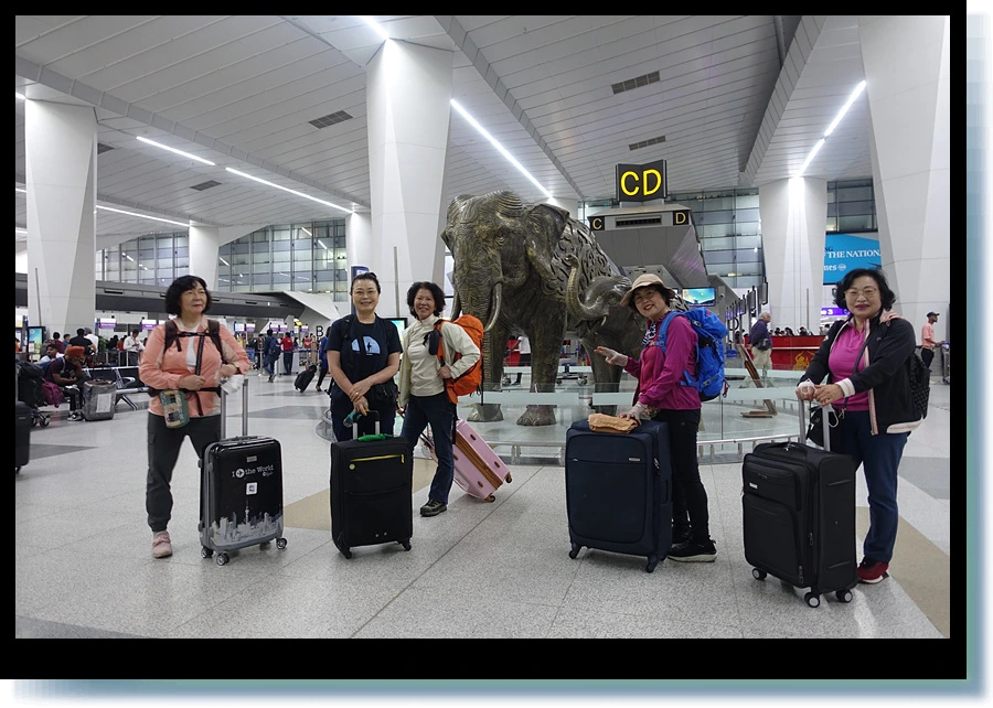 DSC00387.jpg?type=w966