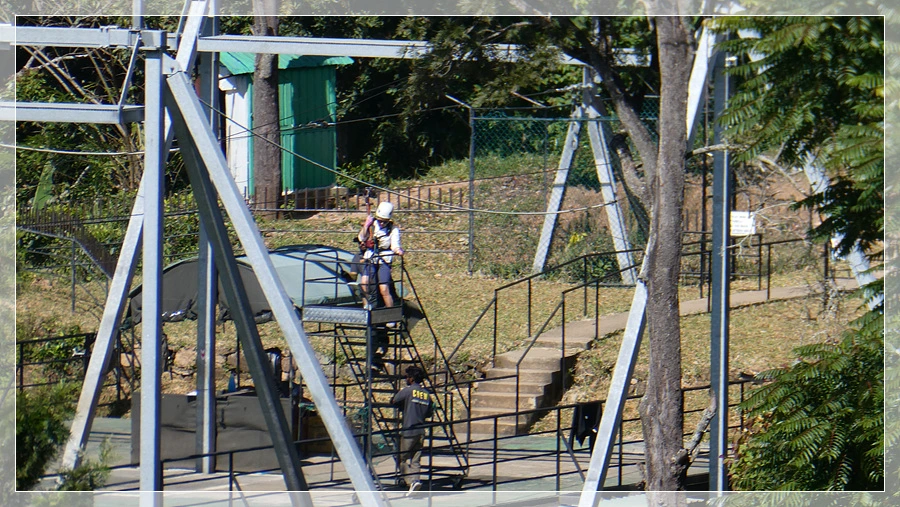 P1011784.jpg?type=w966