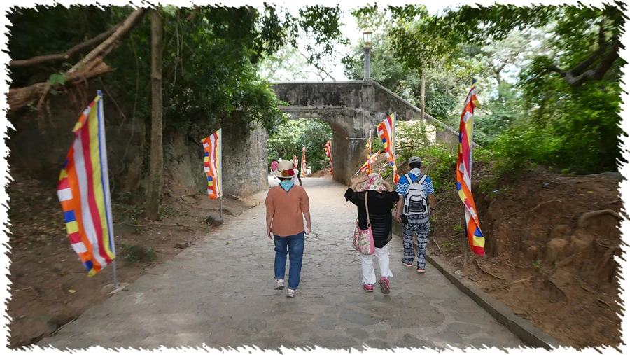 P1010939.jpg?type=w966