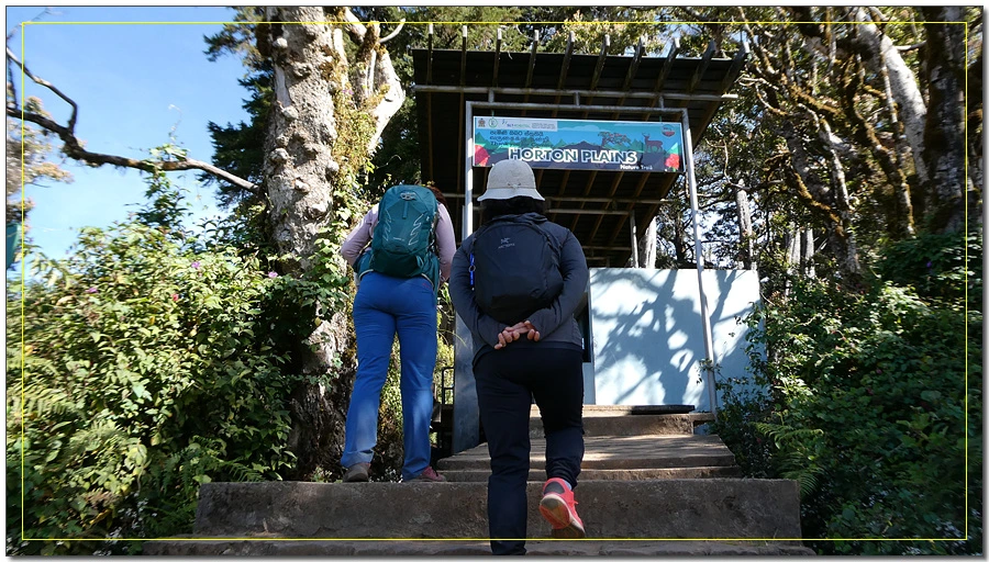 P1011549.jpg?type=w966