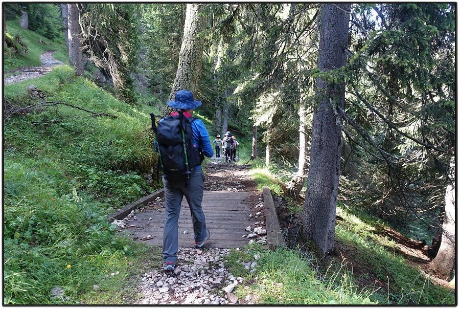 DSC00153.jpg?type=w966&jopt=2