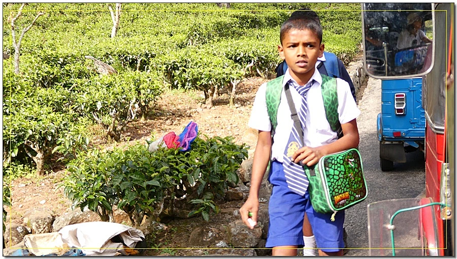 P1011586.jpg?type=w966