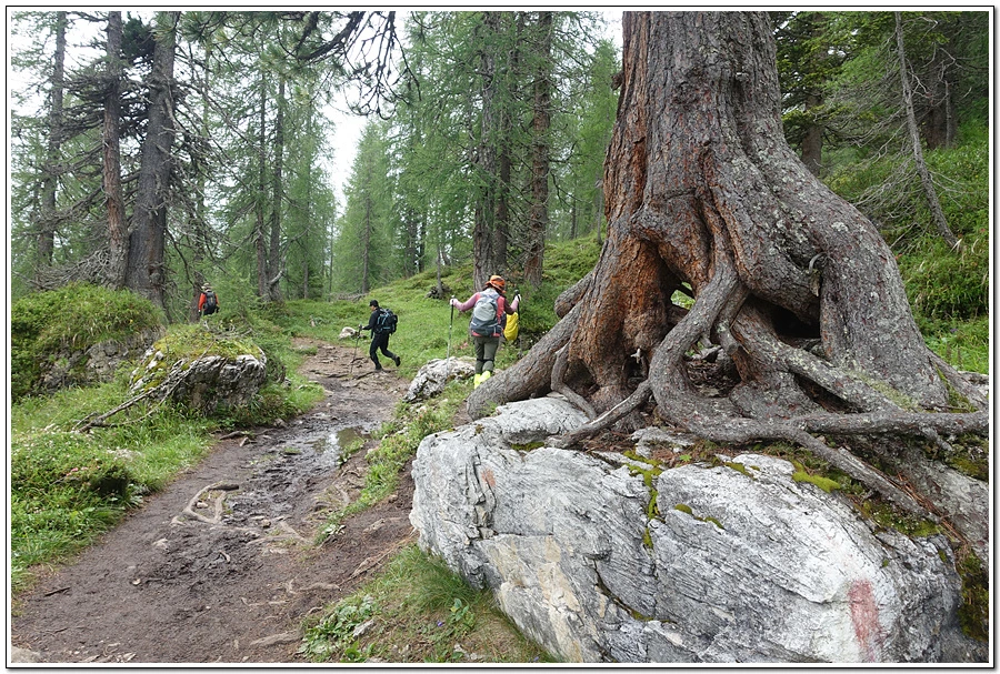 DSC00210.jpg?type=w966&jopt=2