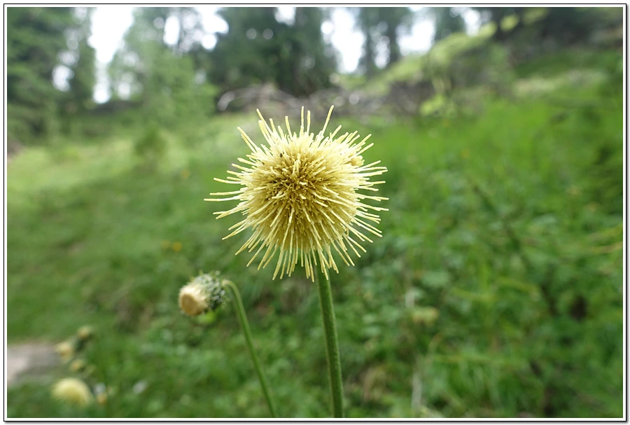 DSC00178.jpg?type=w966&jopt=2