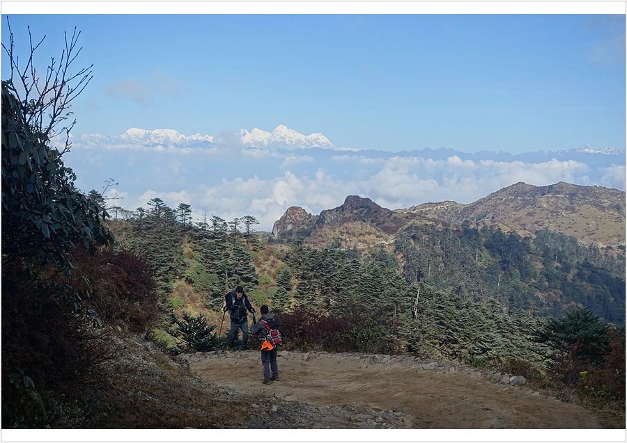 DSC01177.jpg?type=w966