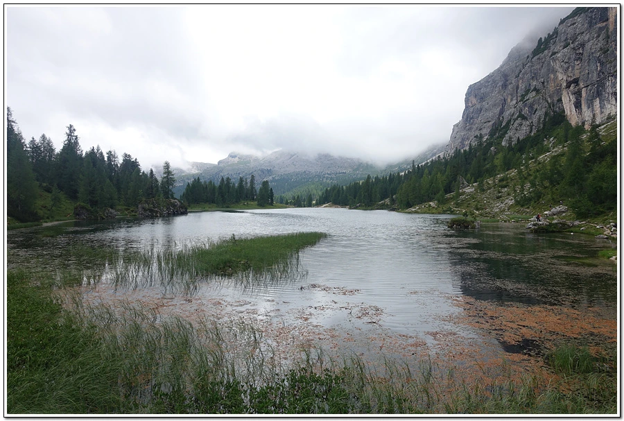 DSC00221.jpg?type=w966&jopt=2