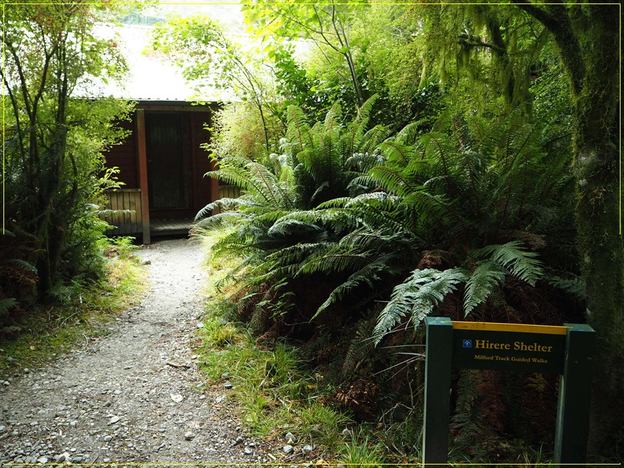 26.jpg?type=w966&jopt=2