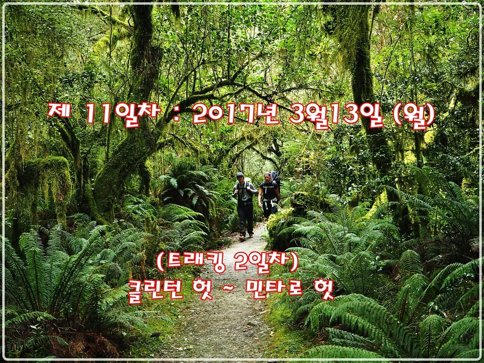 1.jpg?type=w966&jopt=2