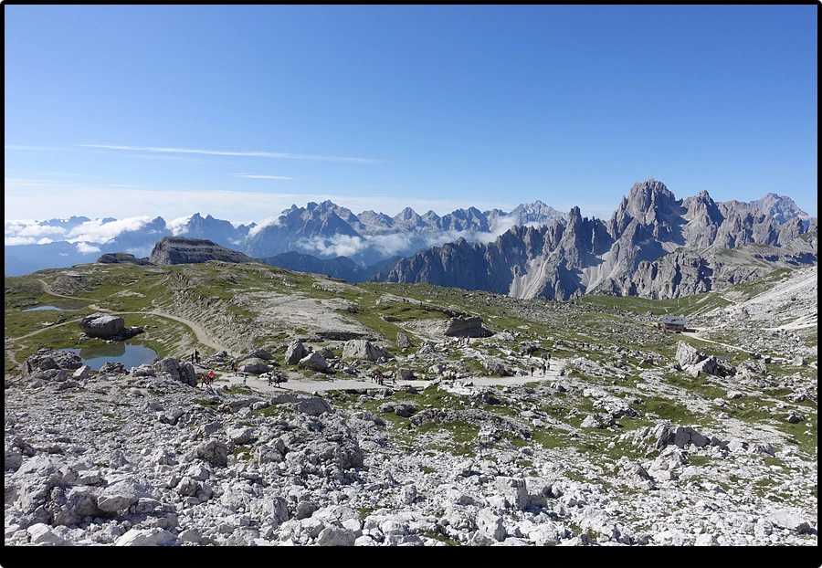 DSC00111.jpg?type=w966&jopt=2