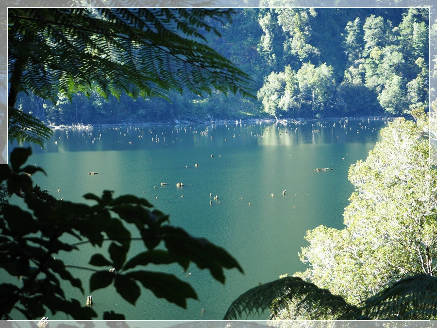 18.jpg?type=w966&jopt=2