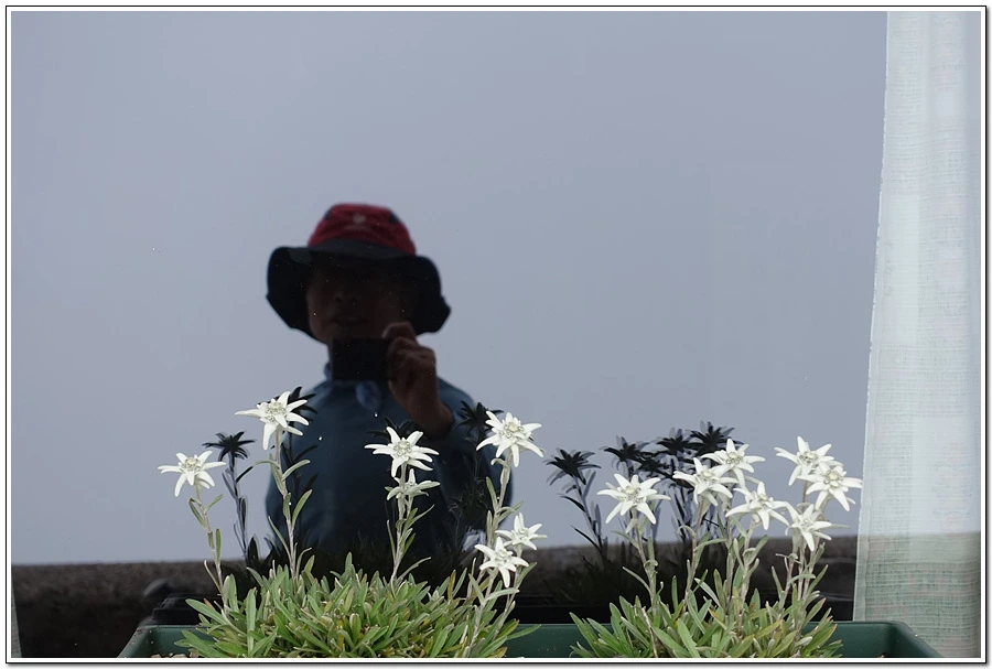 DSC00421.jpg?type=w966&jopt=2