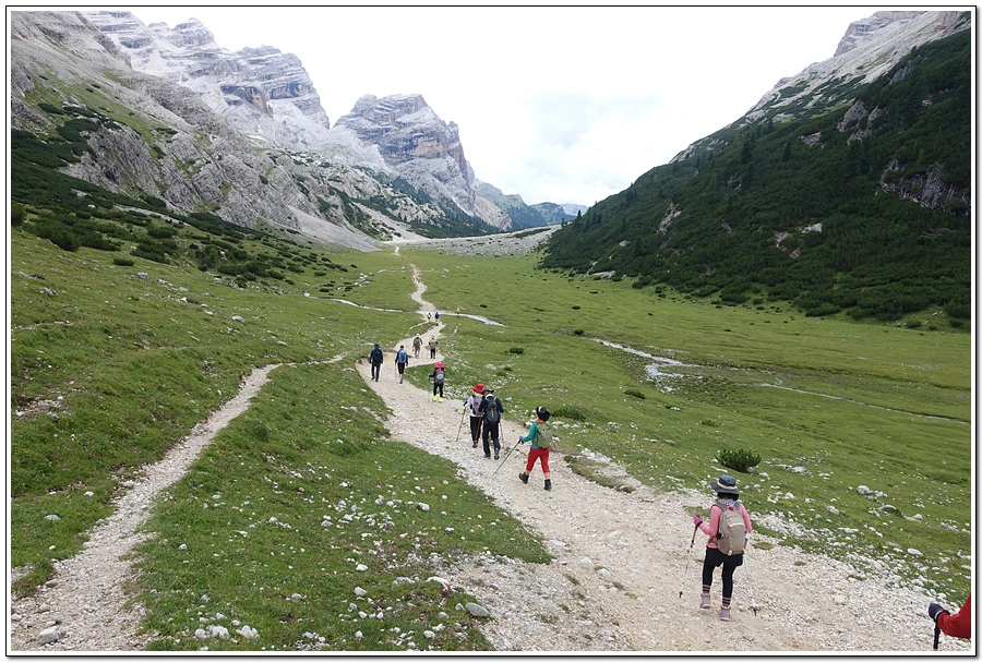 DSC00242.jpg?type=w966&jopt=2