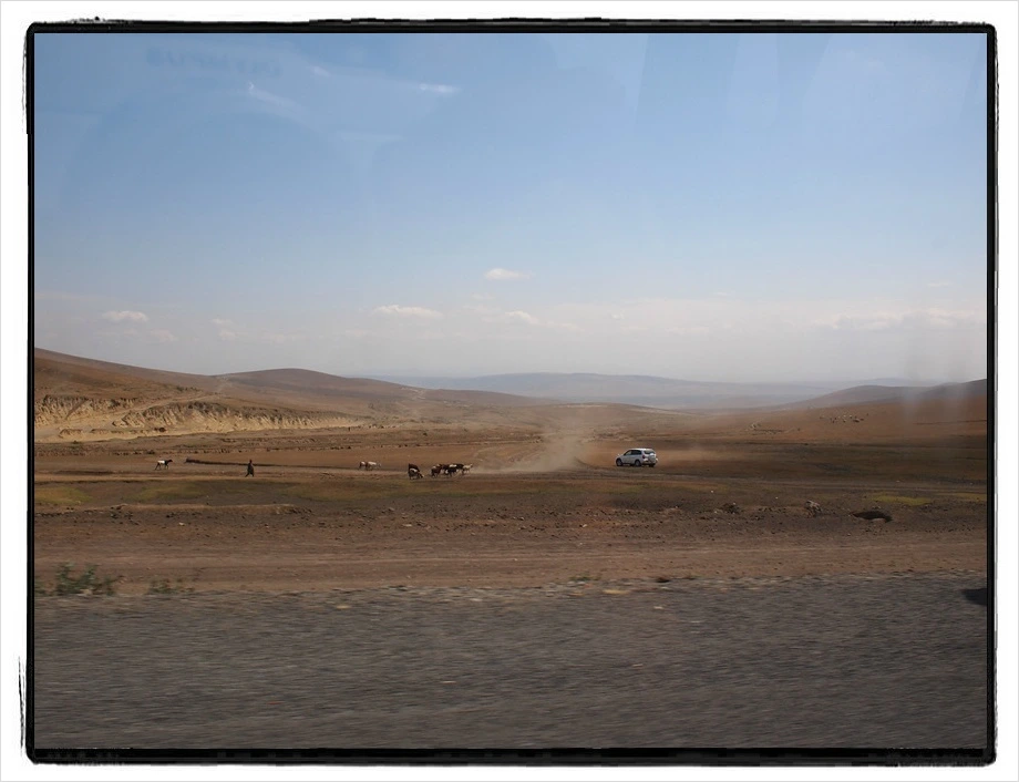 29.jpg?type=w966&jopt=2