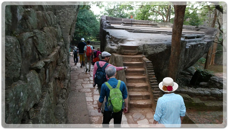 P1011118.jpg?type=w966