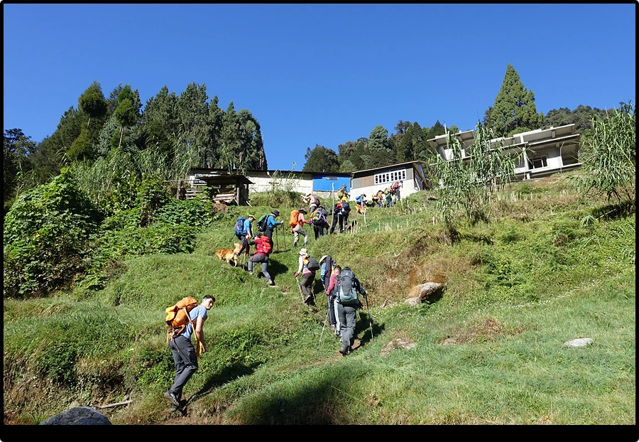 DSC00758.jpg?type=w966