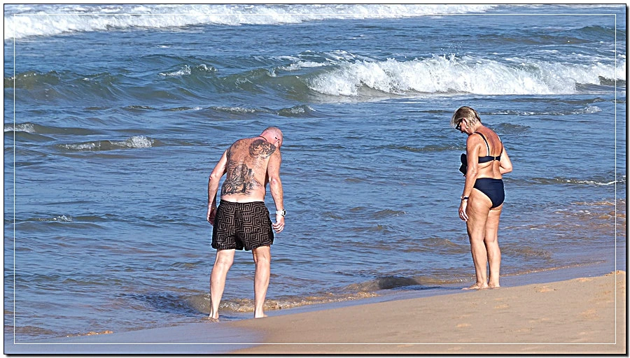 P1022110.jpg?type=w966