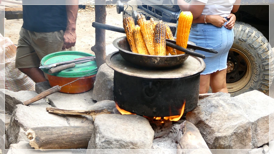 P1021859.jpg?type=w966