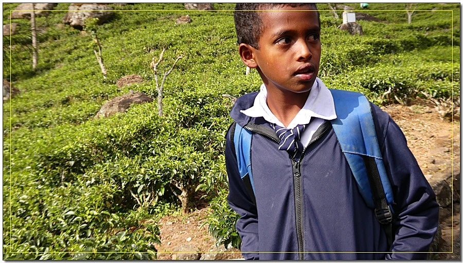 P1011587.jpg?type=w966