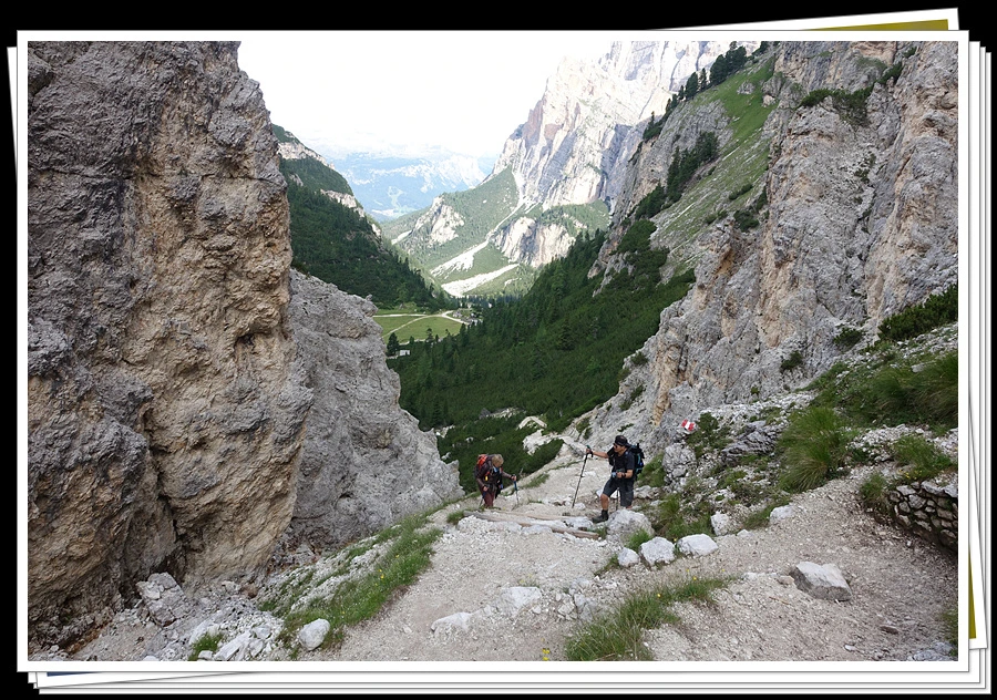 DSC00035.jpg?type=w966&jopt=2