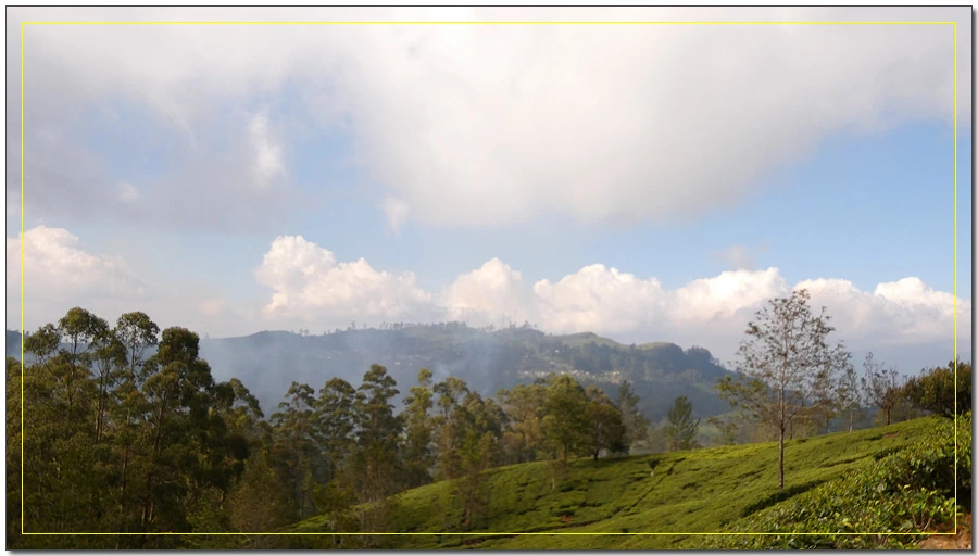 P1011593.jpg?type=w966