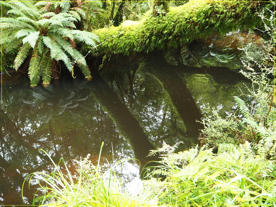 22.jpg?type=w966&jopt=2