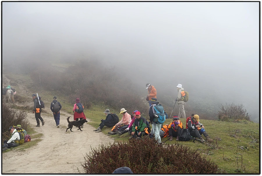 DSC01107.jpg?type=w966