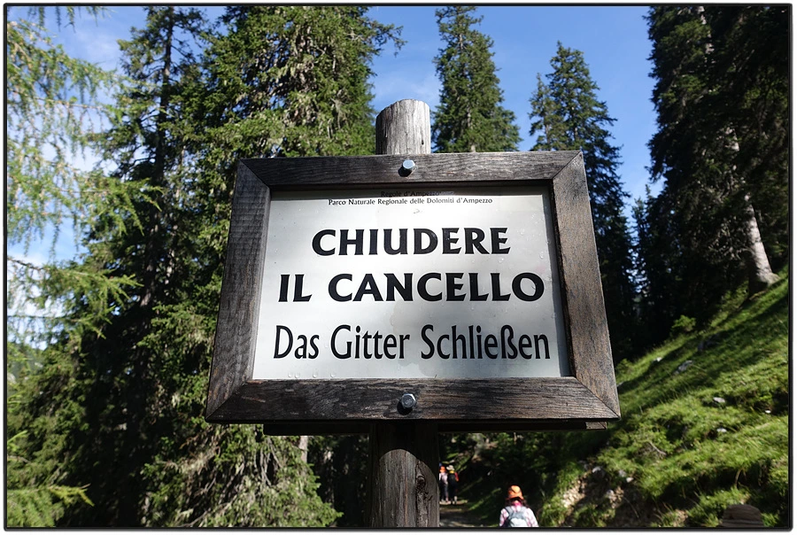 DSC00162.jpg?type=w966&jopt=2