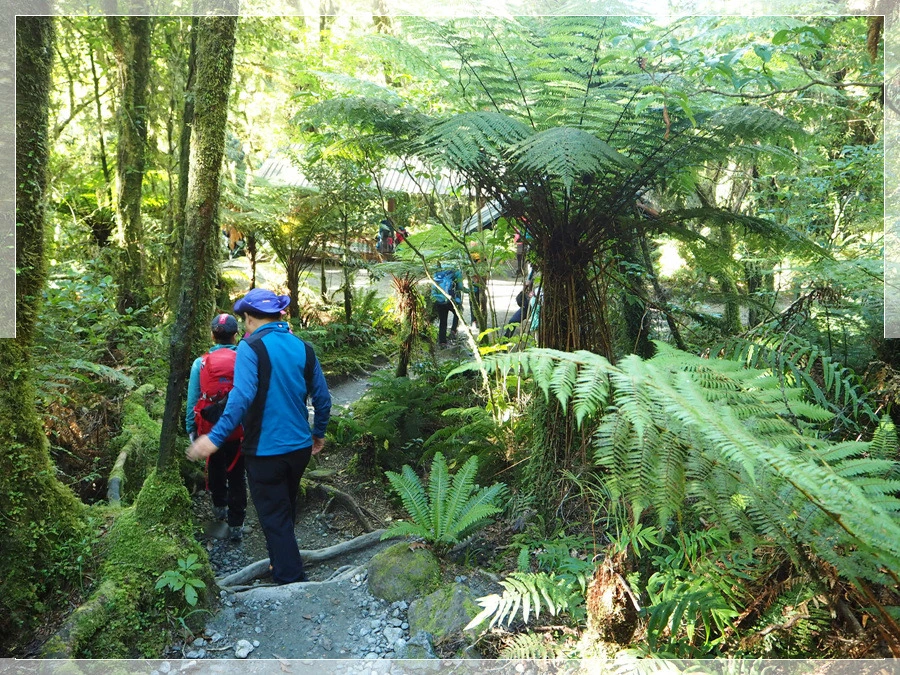 11.jpg?type=w966&jopt=2