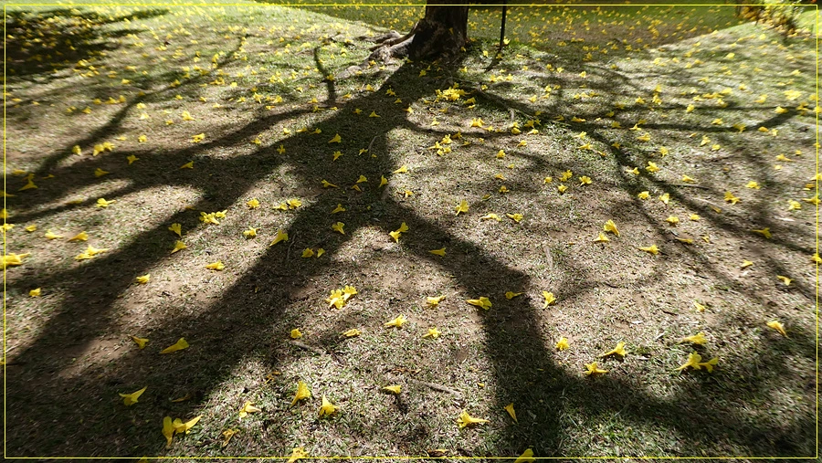 P1011334.jpg?type=w966