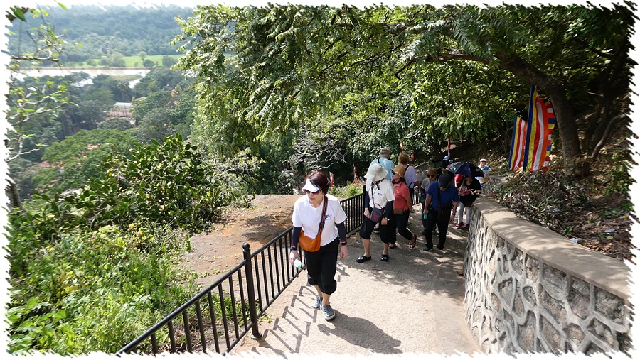 P1010868.jpg?type=w966