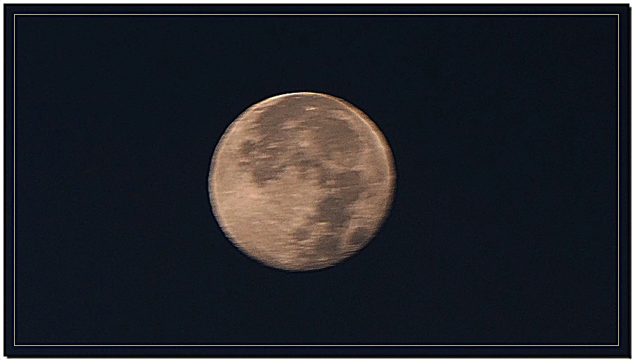 P1011434.jpg?type=w966