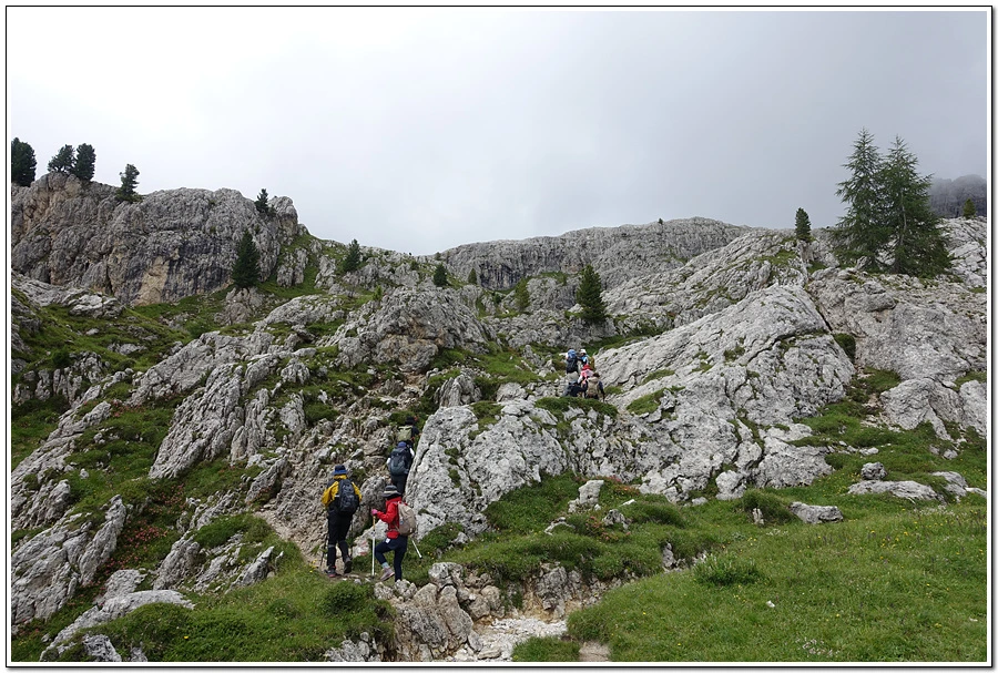 DSC00318.jpg?type=w966&jopt=2