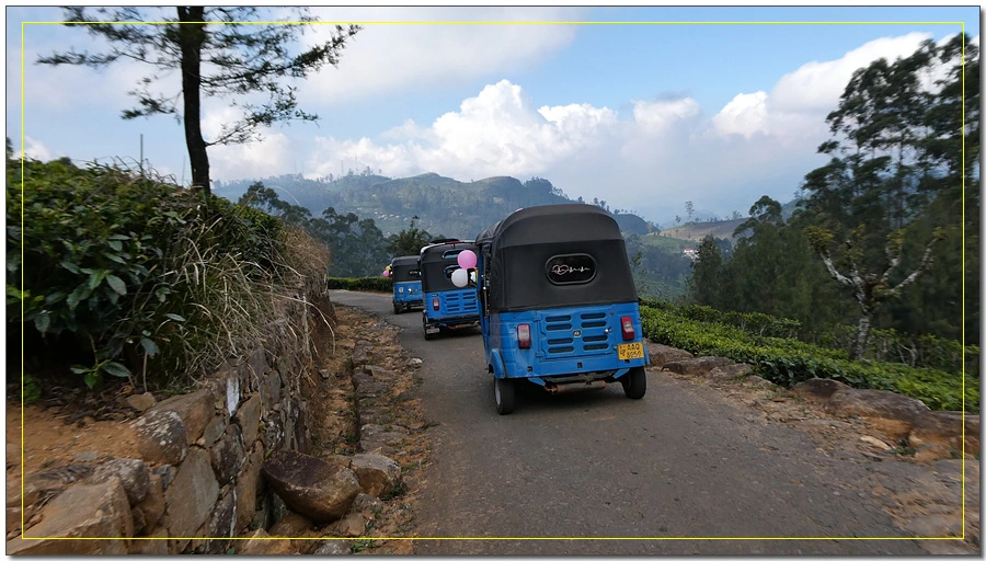 P1011636.jpg?type=w966