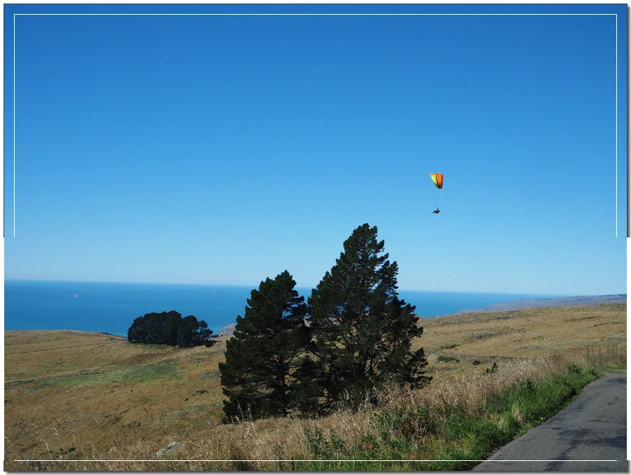 26.jpg?type=w966&jopt=2