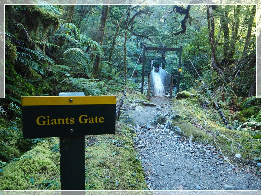 12.jpg?type=w966&jopt=2